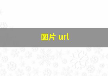 图片 url